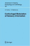 Nunez A., Malmierca E.  Corticofugal Modulation of Sensory Information