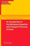 Kremer G.K.  An Introduction to the Boltzmann Equation and Transport Processes in Gases