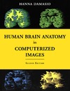 Damasio H.  Human Brain Anatomy in Computerized Images