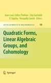 Garibaldi S., Sujatha R., Suresh V.  Quadratic forms, linear algebraic groups, and cohomology