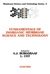 Burggraaf A., Cot  L.  Fundamentals of inorganic membrane science and technology