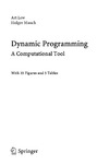 Lew A., Mauch H.  Dynamic Programming