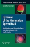 Toshimori K.  Dynamics of the Mammalian Sperm Head: Modifications and Maturation Events From Spermatogenesis to Egg Activation