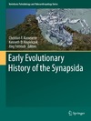 Fr&#246;bisch J., Kammerer C., Angielczyk K.  Early Evolutionary History of the Synapsida