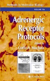 Machida C.  Adrenergic Receptor Protocols