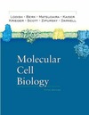 Lodish H., Berk A., Matsudaira P.  Molecular Cell Biology