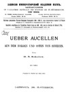 Sokolow D.  Ueber Aucellen aus dem Norden und Osten von Sibirien