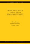 Druet O., Hebey E., Robert F.  Blow-up Theory for Elliptic PDEs in Riemannian Geometry (MN-45) (Mathematical Notes)
