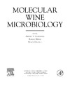 Santiago A., Munoz R., Garcia R.  Molecular Wine Microbiology