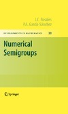 Rosales J., Garcia-Sanchez P.  Numerical Semigroups (Developments in Mathematics, 20)