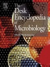 Schaechter M.  Desk Encyclopedia of Microbiology