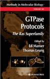 Manser E., Leung T.  Gtpase Protocol