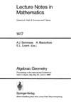 Sommese A.J., Biancofiore A., Livorni E.  Algebraic geometry. Proc. Int. Conf. Italy 1988