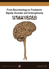 From Neurobiology to Treatment: Bipolar Disorder and Schizophrenia Unraveled