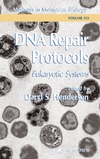 Henderson D.  DNA Repair Protocols - Eukaryotic Systems (Methods in Molecular Biology Vol 113)