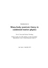 Bruus H., Flensburg K.  Many-body quantum theory in condensed matter physics