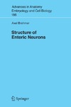 Brehmer A.  Structure of Enteric Neurons