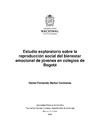 Daniel Fernando Mu&#241;oz Contreras  Estudio exploratorio sobre la reproducci&#243;n social del bienestar emocional de j&#243;venes en colegios de Bogot&#225;