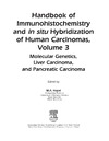 Hayat  M.  Handbook of Immunohistochemistry and in situ Hybridization of Human Carcinomas: Molecular Genetics: Liver and Pancreatic Carcinomas V3