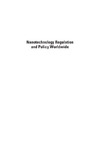 Matsuura J.  Nanotechnology Regulation And Policy Worldwide