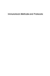Hall W.  Immunotoxin Methods and Protocols
