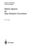 Bridson M.R.  Metric spaces of non-positive curvature