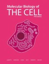 Alberts B.  Molecular biology of the cell