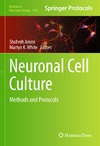 Gordon J., Amini S., White M.  Neuronal Cell Culture: Methods and Protocols