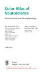 Greenstein B.  Color Atlas of Neurosciences, Neuroanatomy and Neurophysiology