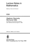 Badescu L., Popescu D.  Algebraic Geometry Bucharest 1982. Proc. conf