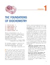 Nelson D.L., Cox M.M.  Lehninger Principles of Biochemistry