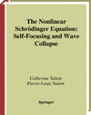 Sulem C., Sulem P.  The Nonlinear Schr?dinger Equation: Self-focusing and Wave Collapse