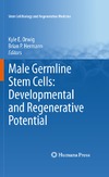 Orwig K., Hermann B.  Male Germline Stem Cells: Developmental and Regenerative Potential (Stem Cell Biology and Regenerative Medicine)