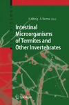 Konig H., Varma A.  Intestinal Microorganisms of Termites and Other Invertebrates