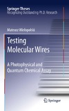 Wielopolski M.  Testing Molecular Wires: A Photophysical and Quantum Chemical Assay (Springer Theses)