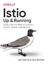 Calcote L., Butcher Z.  Istio: Up and Running: Using a Service Mesh to Connect, Secure, Control, and Observe