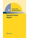 llaire G., Kaber S.  Numerical Linear Algebra (Texts in Applied Mathematics)