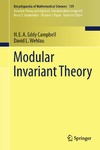 Campbell E., Wehlau D.  Modular Invariant Theory
