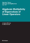 Lopez-Gomez J., Mora-Corral C.  Algebraic Multiplicity of Eigenvalues of Linear Operators