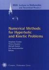 Cordier S., Goudon T., Gutnic M.  Numerical Methods for Hyperbolic and Kinetic Problems: CEMRACS 2003 (IRMA Lectures in Mathematics & Theoretical Physics, 7)