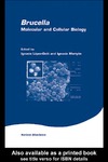 Lopez-Goni I., Moriy&#243;n I.  Brucella: Molecular and Cellular Biology