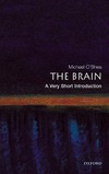 OShea M.  The Brain: A Very Short Introduction