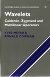 Meyer Y., Coifman R.  Wavelets. Calderon-Zygmund and multilinear operators