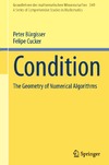 Burgisser P., Cucker F.  Condition: The Geometry of Numerical Algorithms