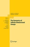 Khesin B., Wendt R.  The Geometry of Infinite-Dimensional Groups