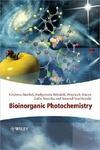 Stochel G., Stasicka Z., Brindell M.  Bioinorganic Photochemistry