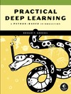 Kneusel R.T.  Practical deep learning