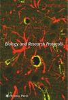 Nag S.  Blood'Brain Barrier: Biology and Research Protocols