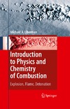 Liberman M.  Introduction to Physics and Chemistry of Combustion: Explosion, Flame, Detonation