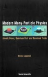 Lipparini E.  Modern Many-Particle Physics. Atomic Gases, Quantum Dots and Quantum Fluids